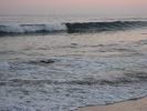 ALA Summer 2008 052.jpg