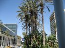 ALA Summer 2008 056.jpg