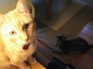 October 2008 046.jpg