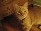 October 2008 066.jpg