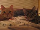 October 2008 016.jpg