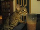October 2008 029.jpg