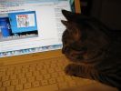October 2008 035.jpg