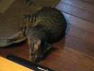 October 2008 044.jpg