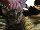 October 2008 056.jpg
