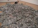 New York City 2008 075.jpg