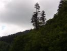 IM001353.jpg